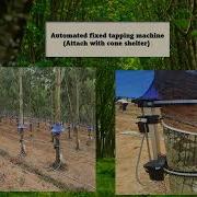 MECHANIZATION AND AUTOMATION IN RUBBER PLANTATION