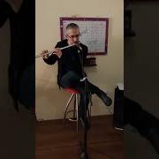 YAN FLÜT İLE ZERDA