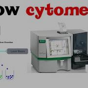 Flow Cytometry