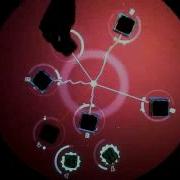 LE FREAK SELECTOR WE MUST LIVE ReacTable Set