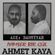 Doğum Günü