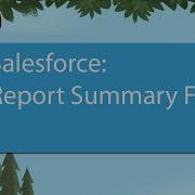 Salesforce Report Summary Field