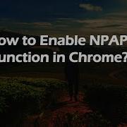 How To Enable NPAPI Function In Chrome