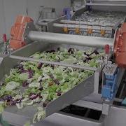 Hexu Machinery JC 330 Vortex Type Leafy Vegetable Salad Vegetable Washing Machine Processing Line