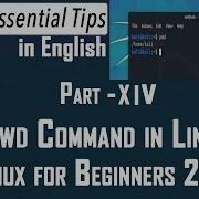 Pwd Command In Linux Linux For Beginners 2021