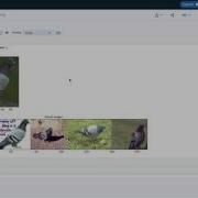 Feature Extraction And Reverse Image Search On Caltech 101 Dataset On IBM Watson Studio Using A CPU