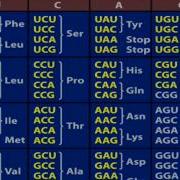 528Hz DNA Frequency UNLOCK Your Codons