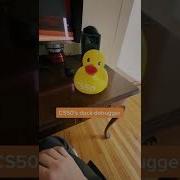 Duck Debugger CS50 Reels Shorts