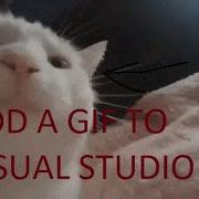 How To Add A GIF In Visual Studio C