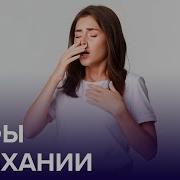 Вся правда о ЧИХАНИИ Доктор 24