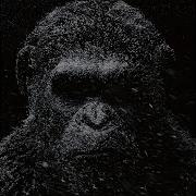 Dark Monkey Dark Minimal Techno Trip Mix