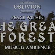 Peace Within The Great Forest Elder Scrolls IV Oblivion Music And Ambience