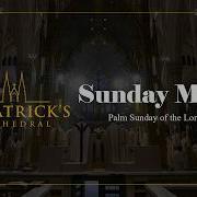 Palm Sunday Mass March 29th 2026
