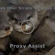 Happy Otter Scripts ProxyAssist Demo