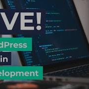 Live WordPress Plugin Development