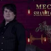 Mecid Shamiloglu Aramam