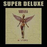 Heart Shaped Box Original Steve Albini 1993 Mix