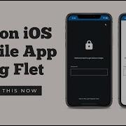 Python IOS Mobile App With Flet