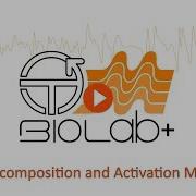 OTBioLab Tutorial 1 Decomposition And Activation Map