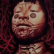Sepultura Born Stubborn