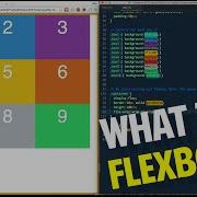 Wrapping Elements With Flexbox Tutorial 4 Of 20