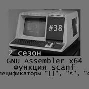 GNU Assembler X64 Сезон 2 Функция Scanf Спецификаторы S C