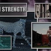 Tendon Training Tendons Like Steel Cables