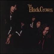 Black Crowes Jealous Again