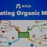 Creating Organic Mind Maps Ayoa