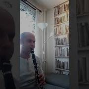 Klarnet Sezen Aksu Firuze