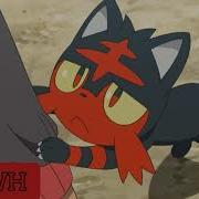 Litten And Toracat Armor
