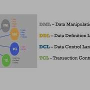 Basic SQL Commands