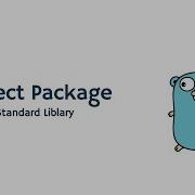 Golang Standard Library Reflect Package Part 12