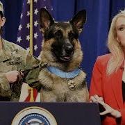 Hero Dog Press Conference SNL