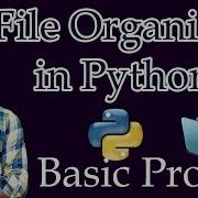 How To Make A File Organizer In Python Python Basic Learning Project