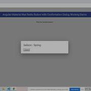 Angular Material Mat Radio Button With Confirmation Dialog Working Demo