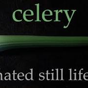 Celery Animated Still Life