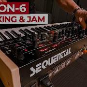 Синтезатор Sequential Trigon 6 Распаковка и джем