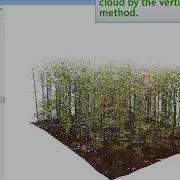 DendroCloud DTM