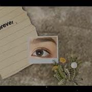 Node Video Edit Dandelions Typography Free Project Files At 200 Likes