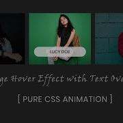 Image Hover Effect With Text Overlay CSS Image Hover Effects