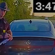 The Most Efficient Drug Mule Arrest In History