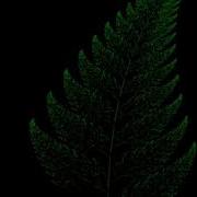 Fern Leaf In Python Using Turtle