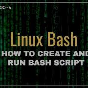 How To Create And Run A Bash Script In Linux