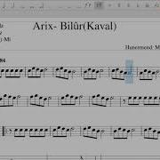 Arix Kaval Nota