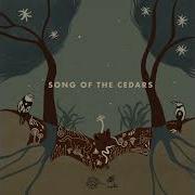 Los Cedros Cloud Forest Cosmo Sheldrake Robert Macfarlane Song Of The Cedars