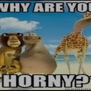 Shitpost Status Compilation V10