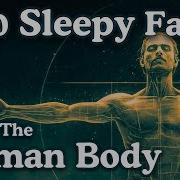 The Most Relaxing Facts About The Human Body To Fall Asleep To