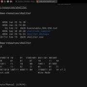 Mastering AV Evasion With Shellter Advanced Red Teaming Tactics Antivirus Malware Evasion
