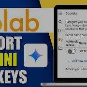 How To Import Gemini API Keys To Google Colab Step By Step Guide 2025